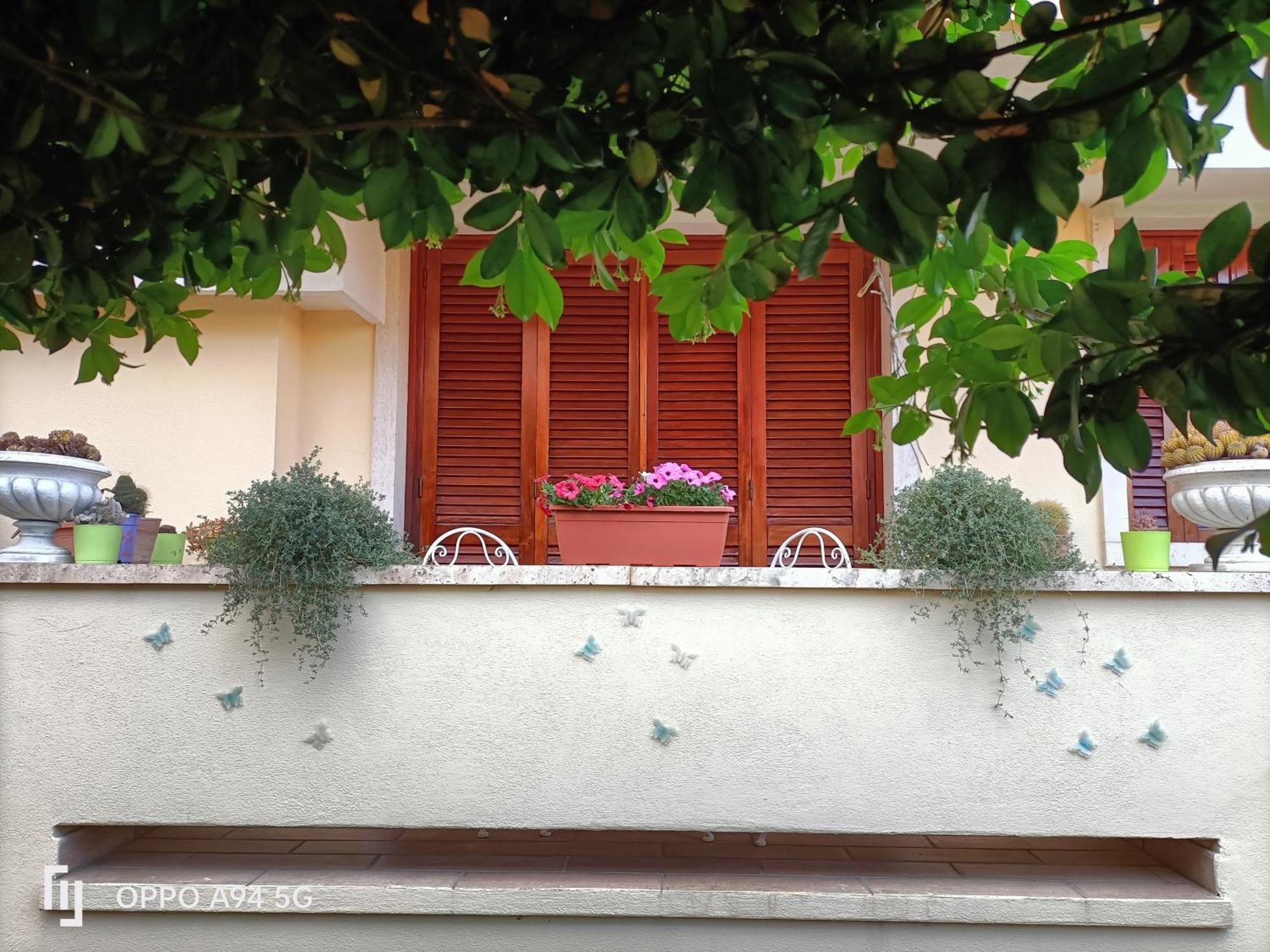 Gemma Di Gallura Charme B&B Olbia Exterior foto