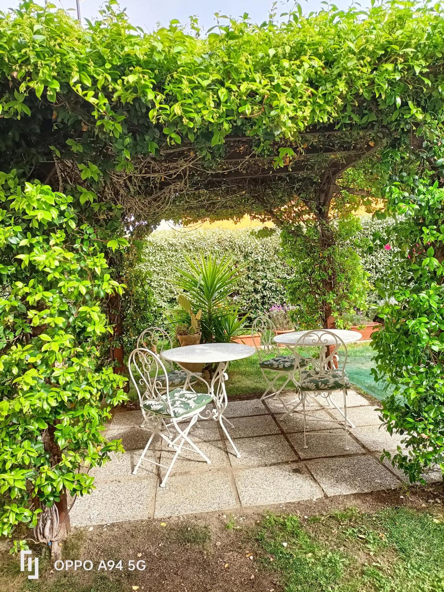 Gemma Di Gallura Charme B&B Olbia Exterior foto